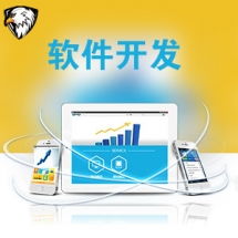 一品威客網軟件外包服務報價與收費解析 專業、透明、高性價比的開發選擇