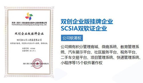 成都軟件開發(fā) 自建團(tuán)隊(duì)與外包服務(wù)，如何選擇更優(yōu)？